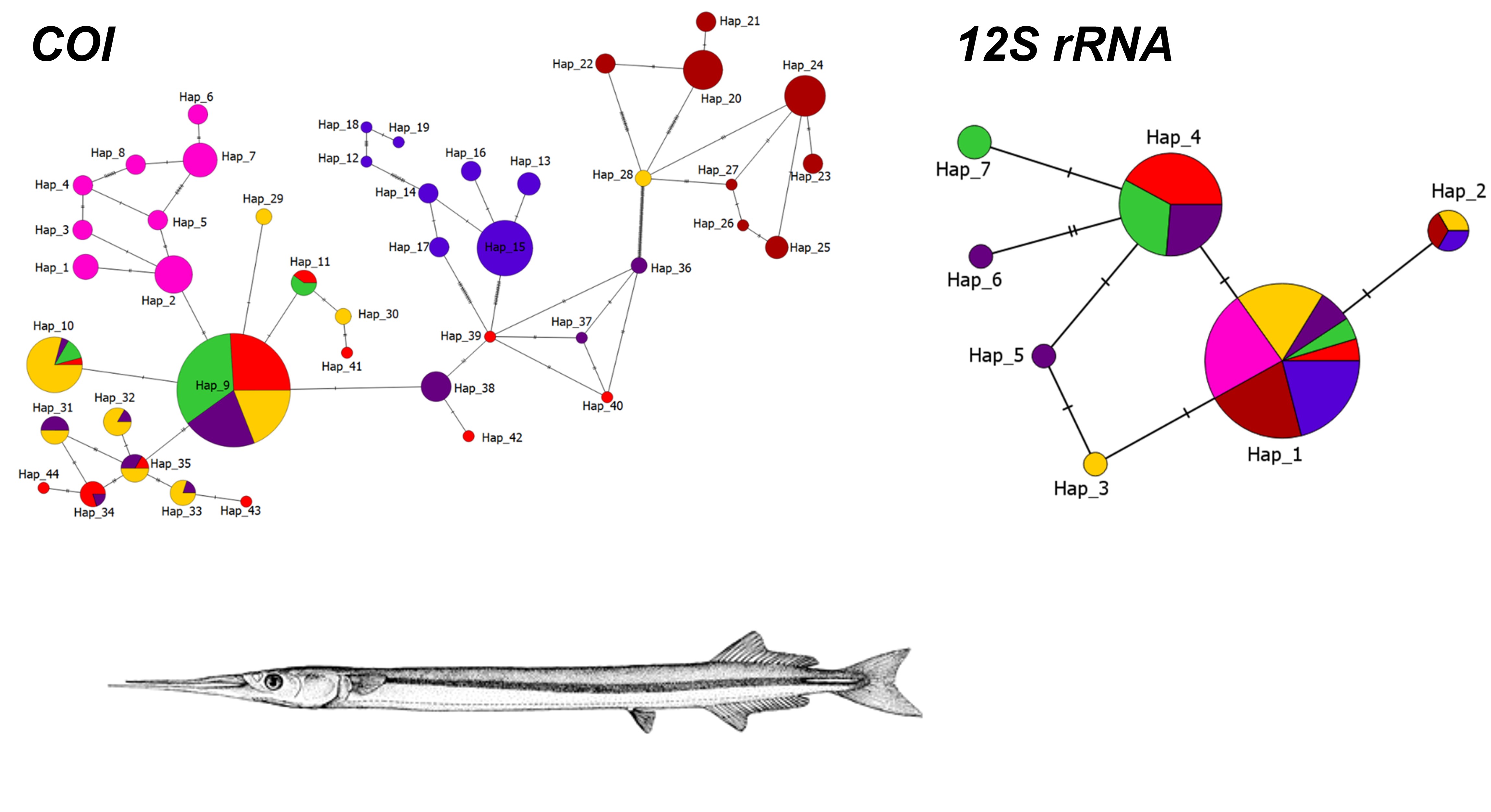 Sample of an image from paper